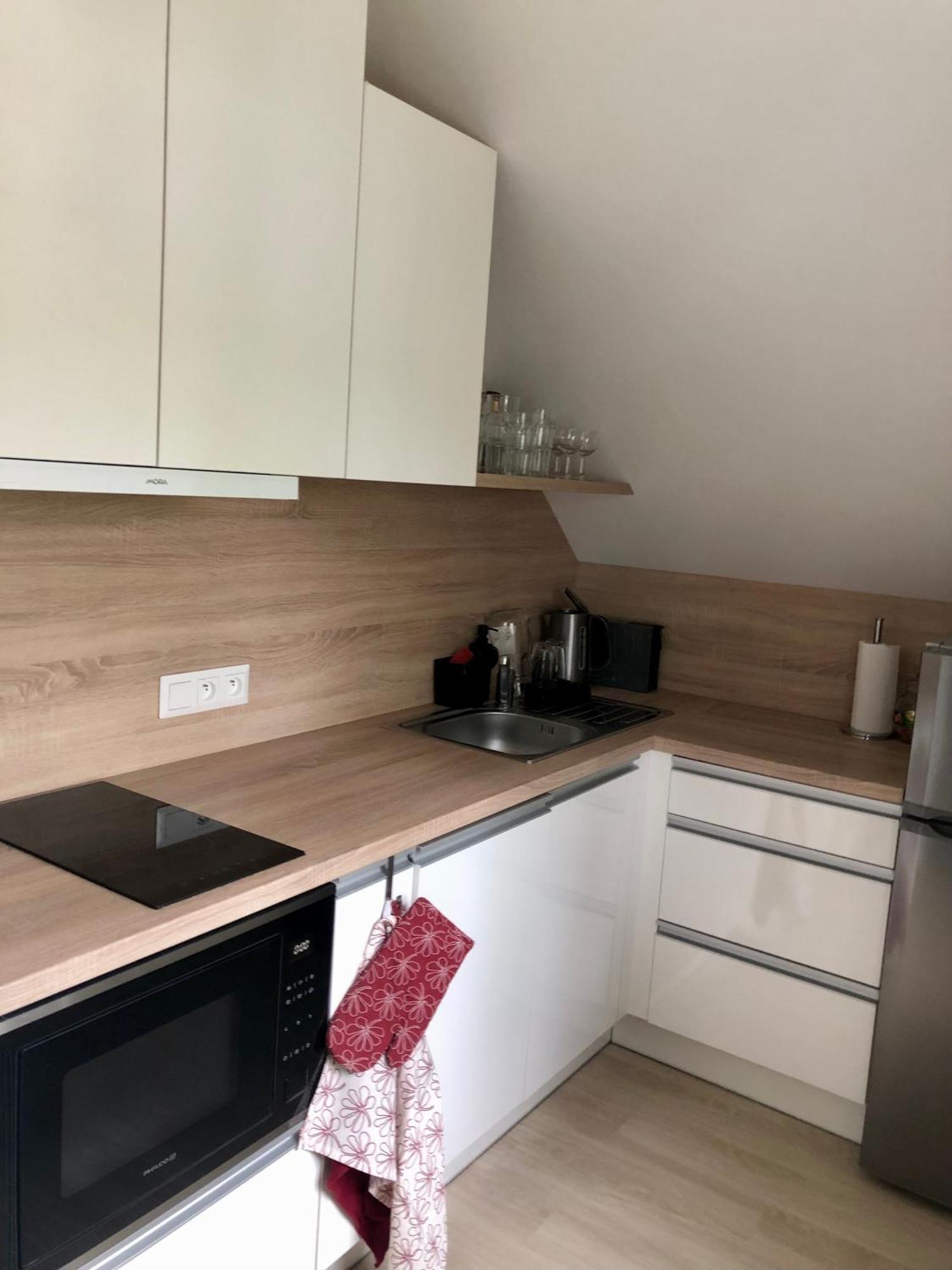 Apartman Krusne Hory - Erzgebirge Horní Blatná Eksteriør billede