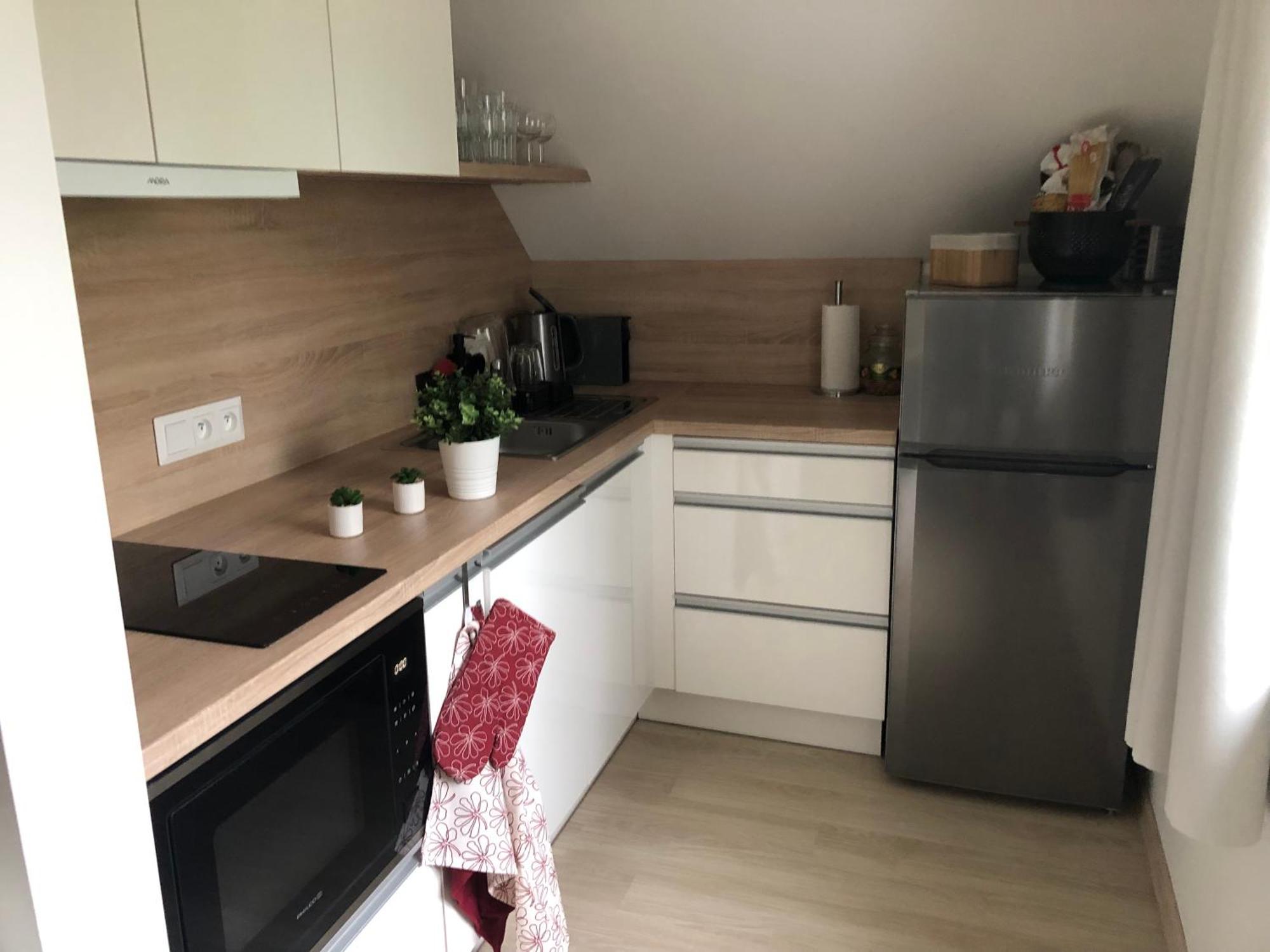 Apartman Krusne Hory - Erzgebirge Horní Blatná Eksteriør billede